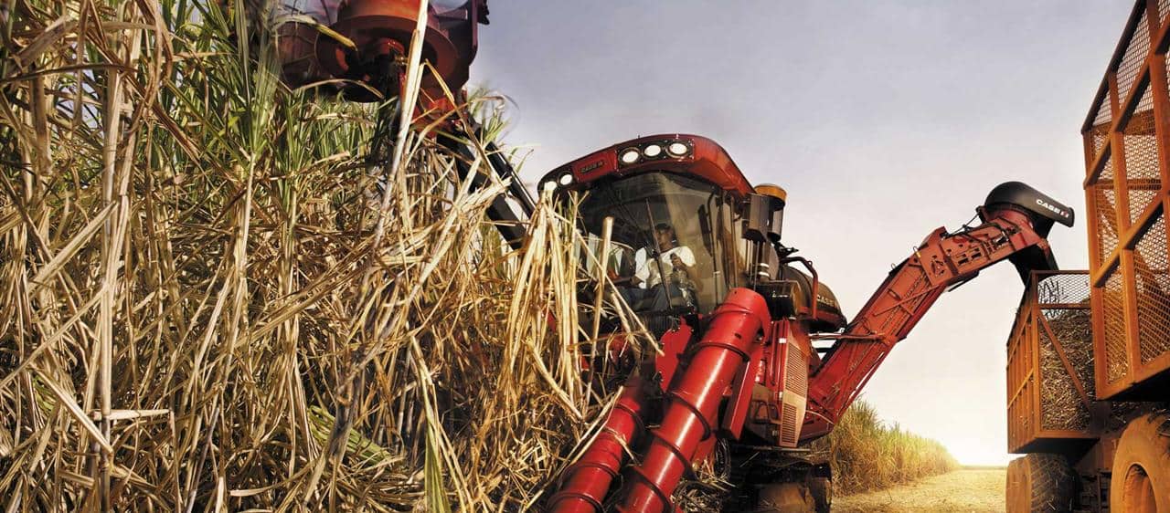 凯斯甘蔗收获机 — 东南亚甘蔗行业的重要合作伙伴
